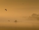 2020 11 23 dsc 1072 316