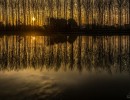 2020 12 06 dsc 1798 319