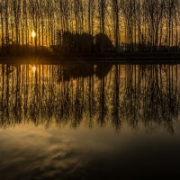 2020 12 06 dsc 1798 319