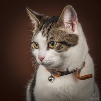 2020 12 11 dsc 1964 322