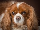 20210104 lady 011