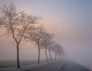 20210109 oostvaartdijk jaagpad 030