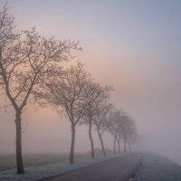 20210109 oostvaartdijk jaagpad 030