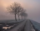 20210109 oostvaartdijk jaagpad 032