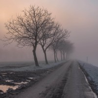 20210109 oostvaartdijk jaagpad 032