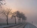 20210109 oostvaartdijk jaagpad 036