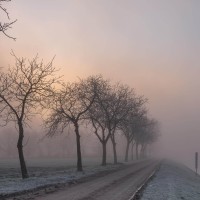 20210109 oostvaartdijk jaagpad 036