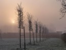 20210109 oostvaartdijk jaagpad 040