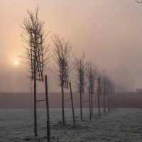 20210109 oostvaartdijk jaagpad 040