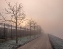 20210109 oostvaartdijk jaagpad 048