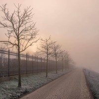 20210109 oostvaartdijk jaagpad 048