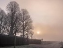 20210109 oostvaartdijk jaagpad 051