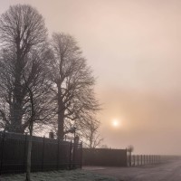 20210109 oostvaartdijk jaagpad 051