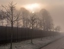 20210109 oostvaartdijk jaagpad 068