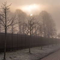 20210109 oostvaartdijk jaagpad 068