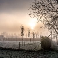 20210109 oostvaartdijk jaagpad 069