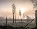 20210109 oostvaartdijk jaagpad 070
