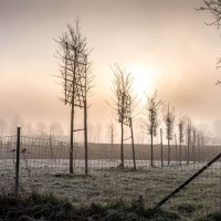 20210109 oostvaartdijk jaagpad 070