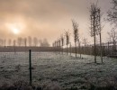 20210109 oostvaartdijk jaagpad 072