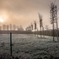 20210109 oostvaartdijk jaagpad 072