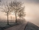 20210109 oostvaartdijk jaagpad 075
