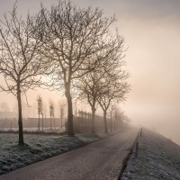 20210109 oostvaartdijk jaagpad 075