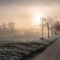 20210109 oostvaartdijk jaagpad 078