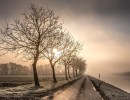 20210109 oostvaartdijk jaagpad 085