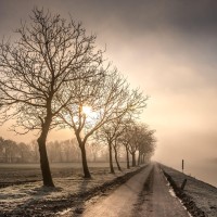 20210109 oostvaartdijk jaagpad 085