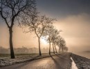 20210109 oostvaartdijk jaagpad 088