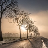 20210109 oostvaartdijk jaagpad 088