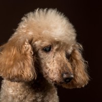 20210119 milor 005