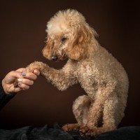 20210119 milor 036