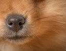 20210121 frou 015