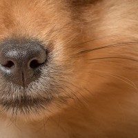 20210121 frou 015