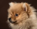 20210121 frou 032