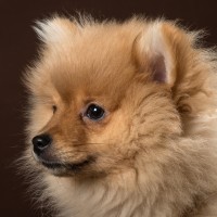 20210121 frou 032