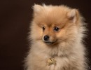 20210121 frou 034