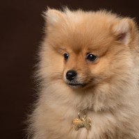 20210121 frou 034