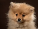 20210121 frou 043