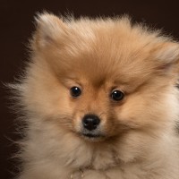 20210121 frou 043