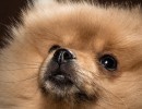 20210121 frou 045