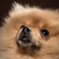 20210121 frou 045