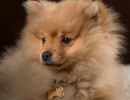 20210121 frou 082