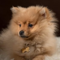 20210121 frou 082
