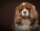 20210127 lady