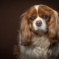 20210127 lady