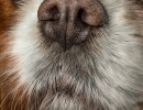 20210128 ladysnoet