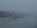 20210201 mist2