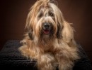 20210209pippa001